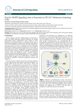 Notch1-MAPK Signaling Axis Is Essential in CD133+ Melanoma