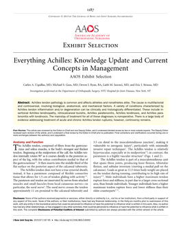 Everything Achilles: Knowledge Update and Current Concepts in Management AAOS Exhibit Selection