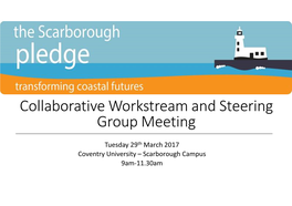 Collaborative Workstream and Steering Group Meeting