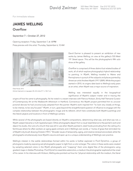 James Welling Overflow