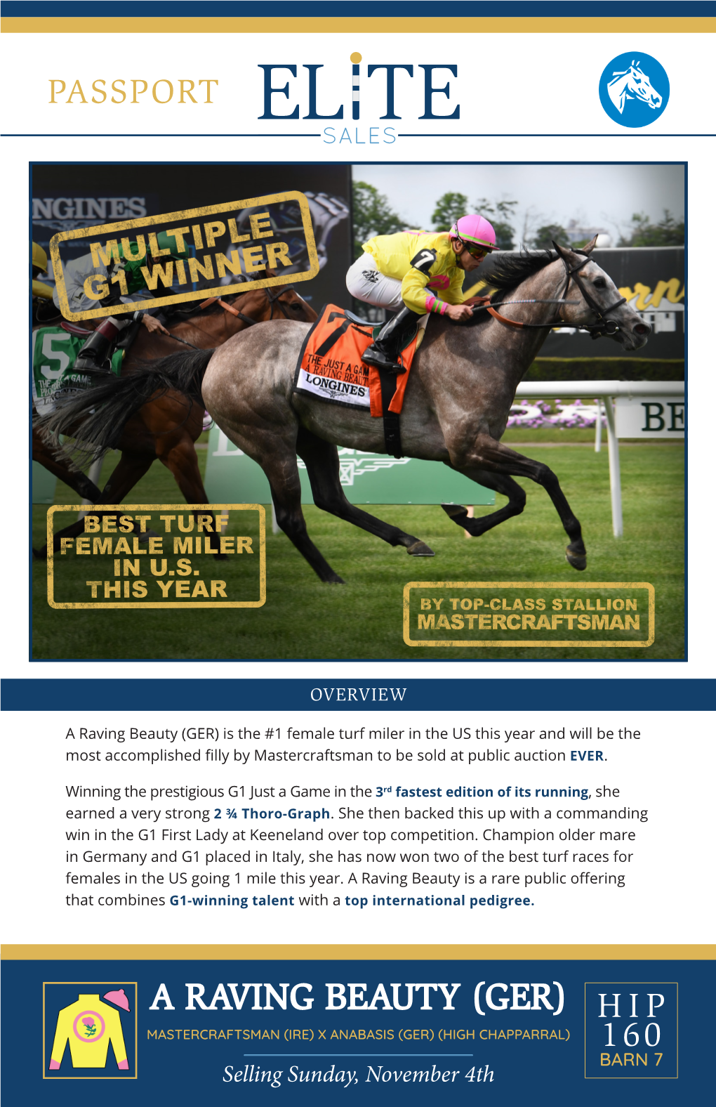 A Raving Beauty (GER) Is the #1 Female Turf Miler in the US This Year and Will Be the Most Accomplished Filly by Mastercraftsman to Be Sold at Public Auctionever