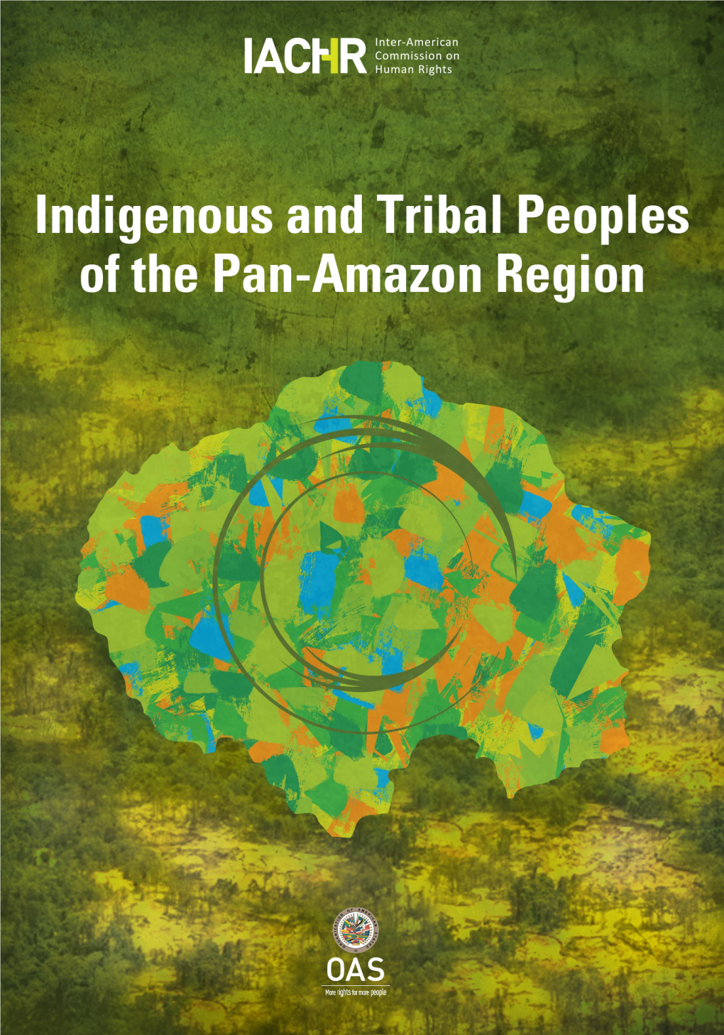 Indigenous and Tribal Peoples of the Pan-Amazon Region