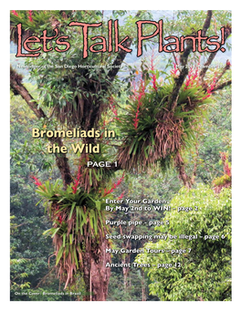 Bromeliads in the Wild Page 1