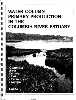 Water Column Primary Production in the Columbia River Estuary