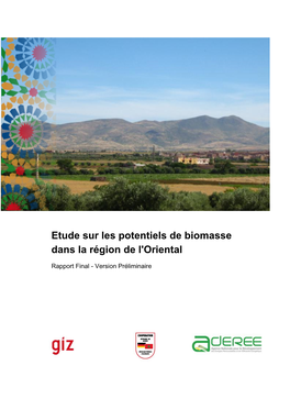 Etude Sur Les Potentiels De Biomasse Dans La Région De L'oriental