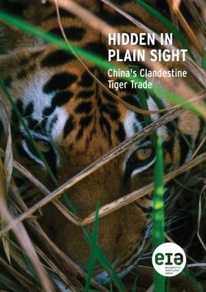 HIDDEN in PLAIN SIGHT China's Clandestine Tiger Trade ACKNOWLEDGEMENTS CONTENTS