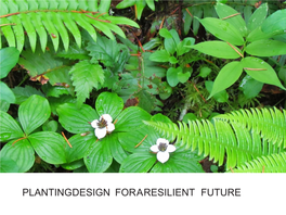 PLANTINGDESIGN FORARESILIENT FUTURE We Believe Plants Are Essential to Creatinga Healthy and Resilient Future Through Intentional Design