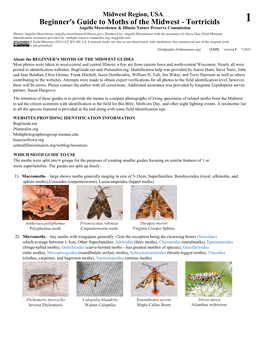 Beginner S Guide to Moths of the Midwest Tortricids