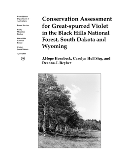 Conservation Assessment for Great-Spurred Violet in the Black