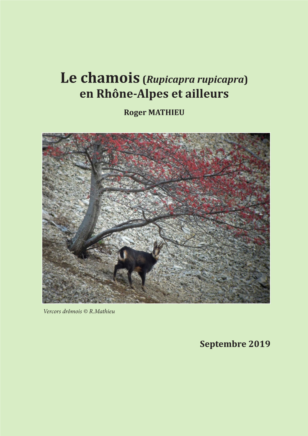 Le Chamois(Rupicapra Rupicapra)