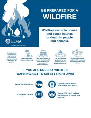 Be Prepared for a Wildfire