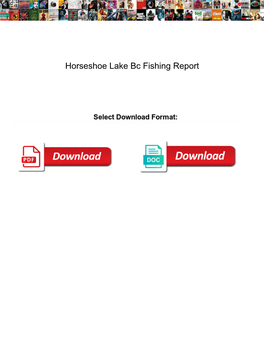 Horseshoe Lake Bc Fishing Report
