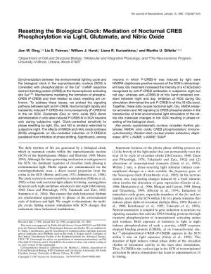 Resetting the Biological Clock: Mediation of Nocturnal CREB Phosphorylation Via Light, Glutamate, and Nitric Oxide