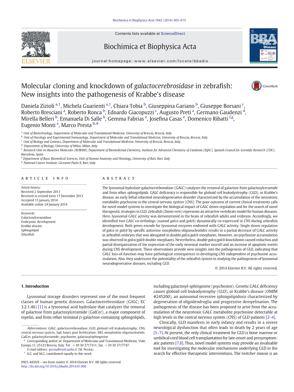 Molecular Cloning and Knockdown of Galactocerebrosidase in Zebrafish