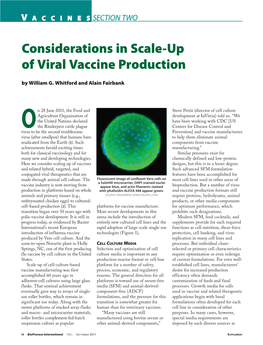 Considerations in Scale-Up of Viral Vaccine Production