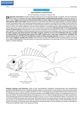 HOLOCENTRIDAE Squirrelfishes (Soldierfishes) by D.W