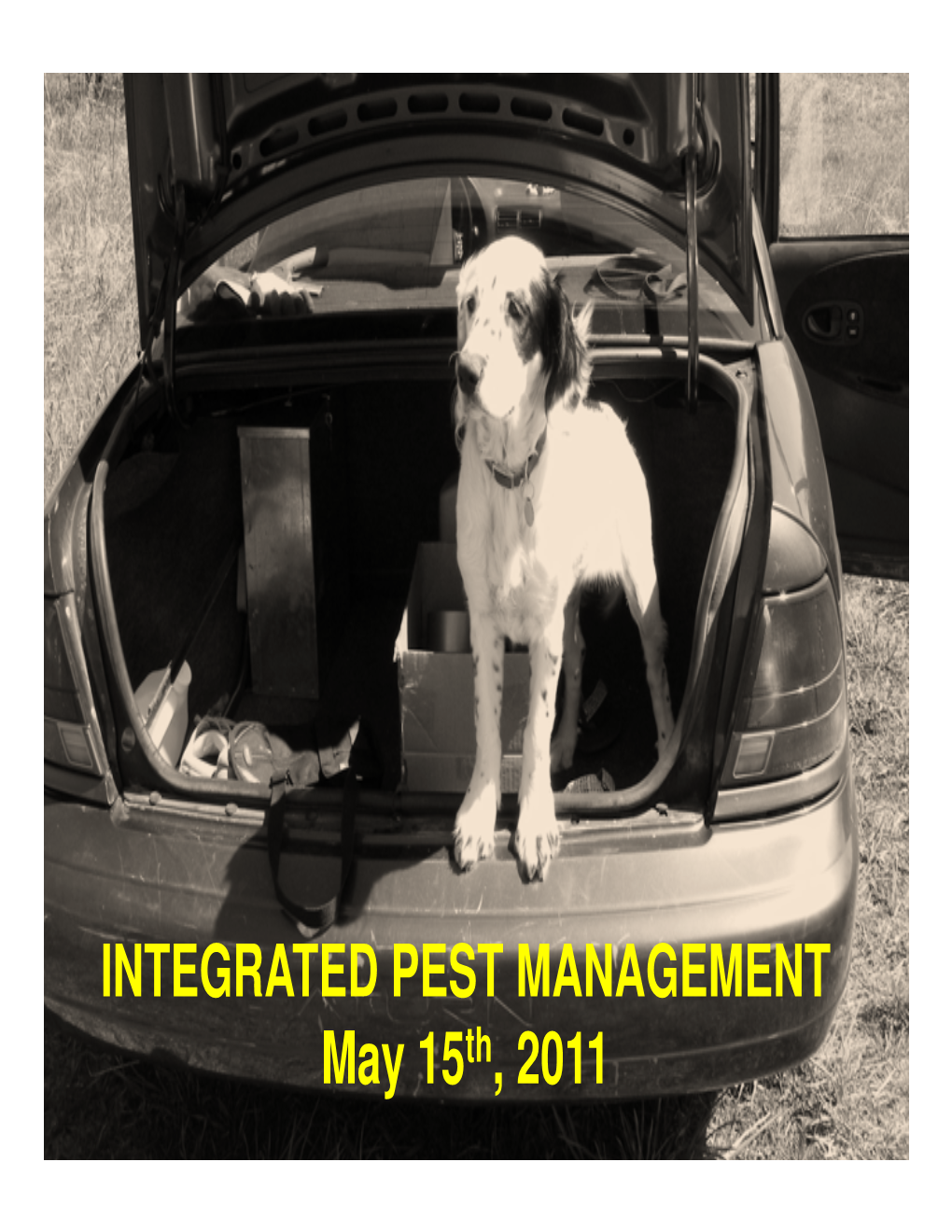 INTEGRATED PEST MANAGEMENT May 15Th, 2011