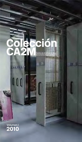 Colección Ca2mcentro De Arte Dos De Mayo