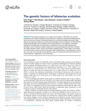 The Genetic Factors of Bilaterian Evolution Peter Heger1*, Wen Zheng1†, Anna Rottmann1, Kristen a Panfilio2,3, Thomas Wiehe1
