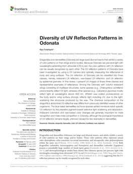 Diversity of UV Reflection Patterns in Odonata