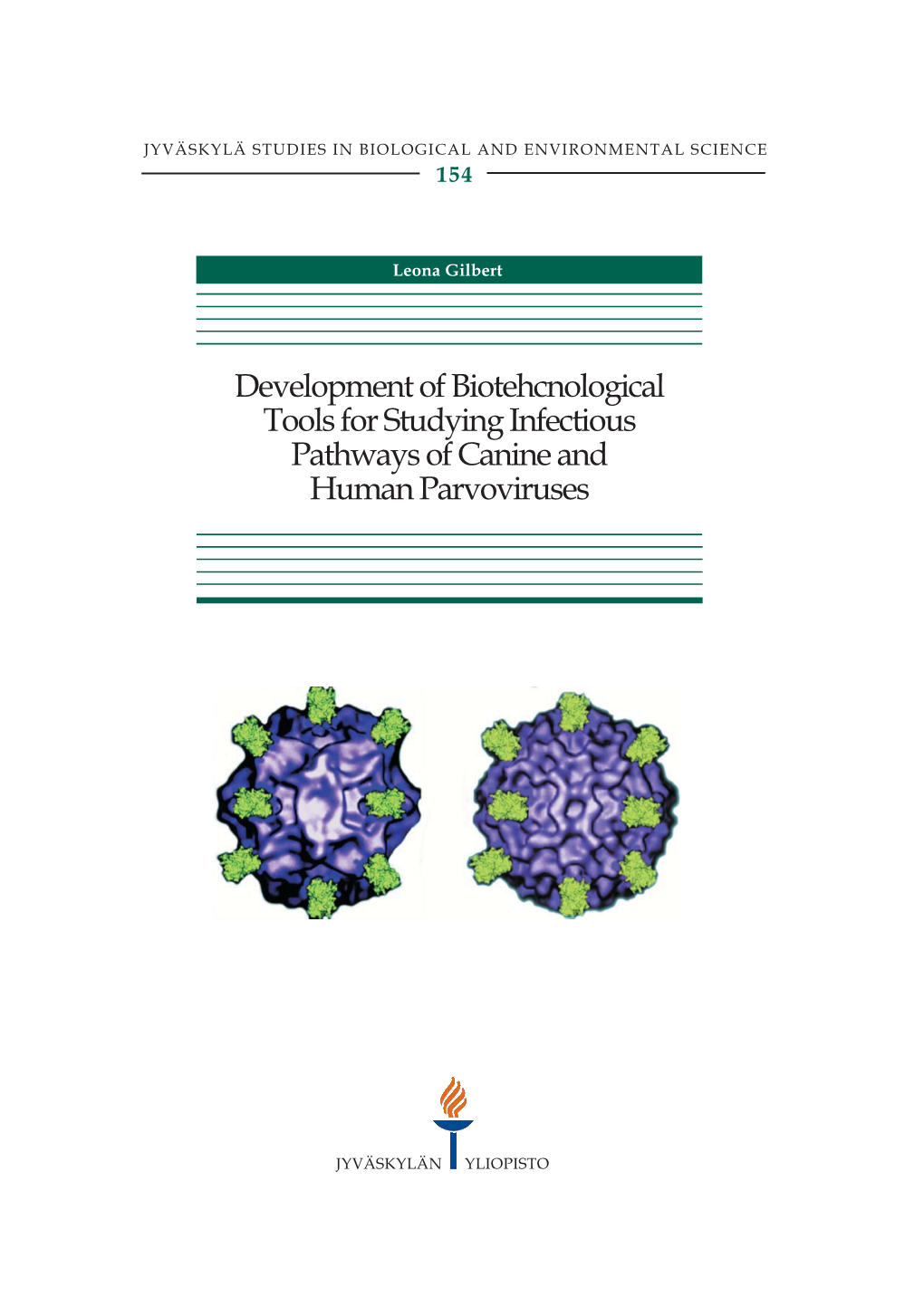 Development of Biotehcnological Tools for Studying Infectious Pathways of Canine and Human Parvoviruses