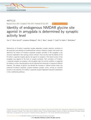 Identity of Endogenous NMDAR Glycine Site Agonist in Amygdala Is Determined by Synaptic Activity Level