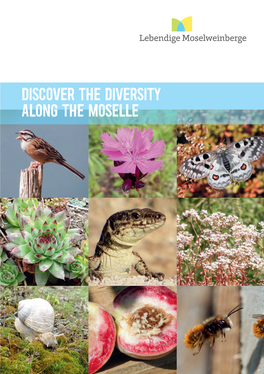 Discover the Diversity Along the Moselle