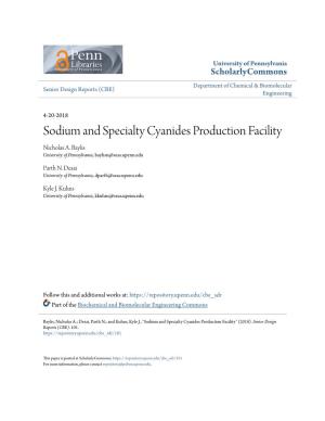Sodium and Specialty Cyanides Production Facility Nicholas A