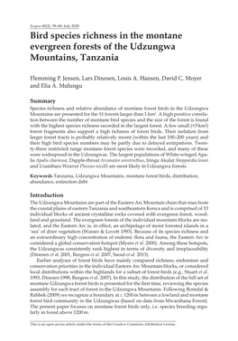 Bird Species Richness in the Montane Evergreen Forests of the Udzungwa Mountains, Tanzania