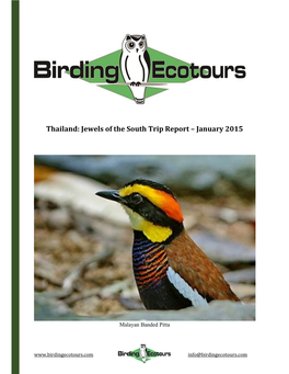 Thailand: Jewels of the South Trip Report – January 2015