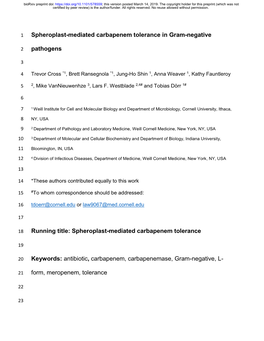 Spheroplast-Mediated Carbapenem Tolerance in Gram-Negative