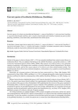 Four New Species of Lockhartia (Orchidaceae, Oncidiinae)