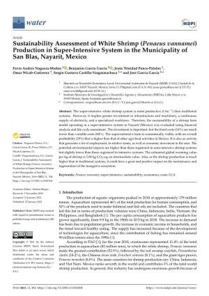 Sustainability Assessment of White Shrimp (Penaeus Vannamei) Production in Super-Intensive System in the Municipality of San Blas, Nayarit, Mexico