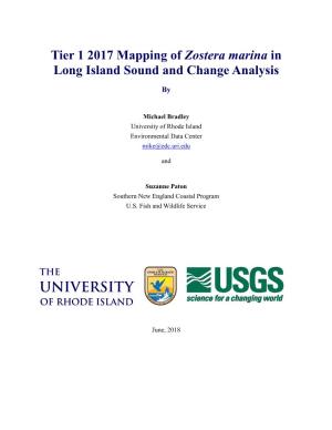 Tier 1 2017 Mapping of Zostera Marina in Long Island Sound and Change Analysis