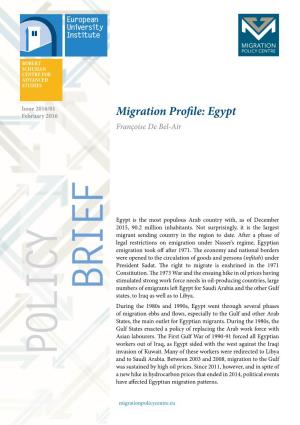 Migration Profile: Egypt Françoise De Bel-Air