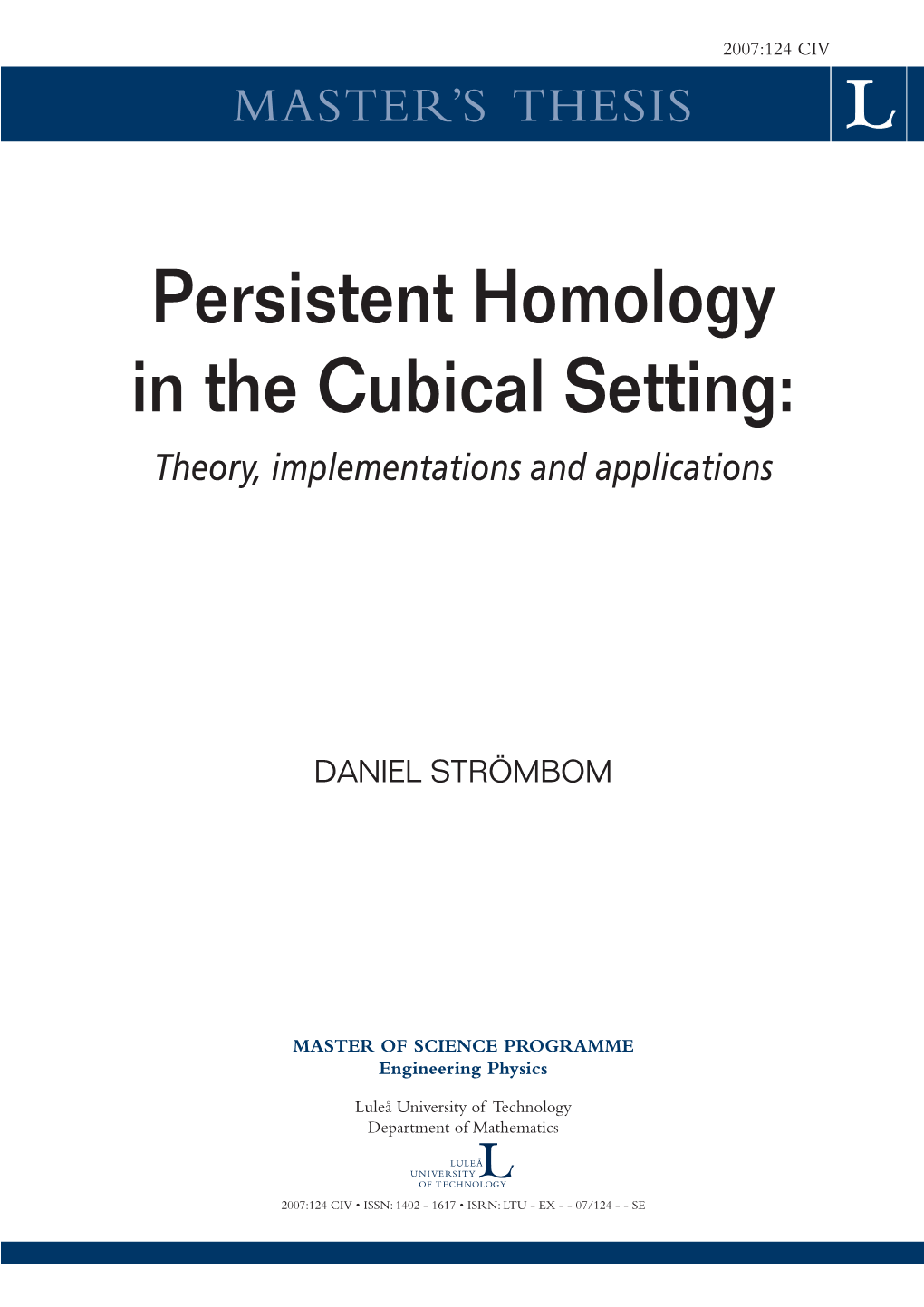 Persistent Homology in the Cubical Setting: Theory, Implementations and Applications