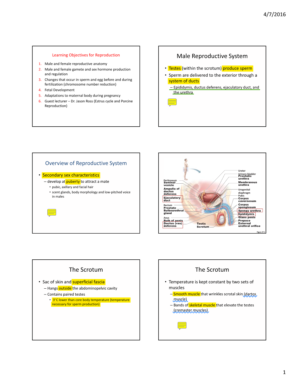 this-3-page-foldable-contains-a-diagram-of-the-female-reproductive-system-including-a-clo