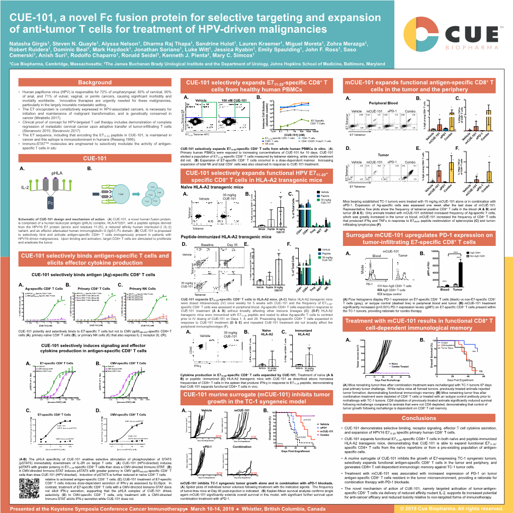 CUE-101, a Novel Fc Fusion Protein for Selective Targeting and Expansion of Anti-Tumor T Cells for Treatment of HPV-Driven Malignancies