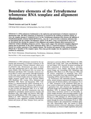 Boundary Elements of the Tetrahymena Telomerase RNA Template and Alignment Domains