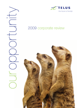 2009 Corporate Review