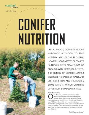 Like All Plants, Conifers Require Adequate Nutrition to Stay Healthy and Grow Properly