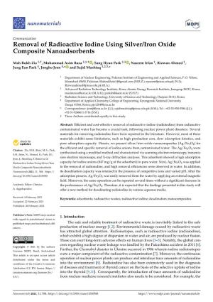 Removal of Radioactive Iodine Using Silver/Iron Oxide Composite Nanoadsorbents