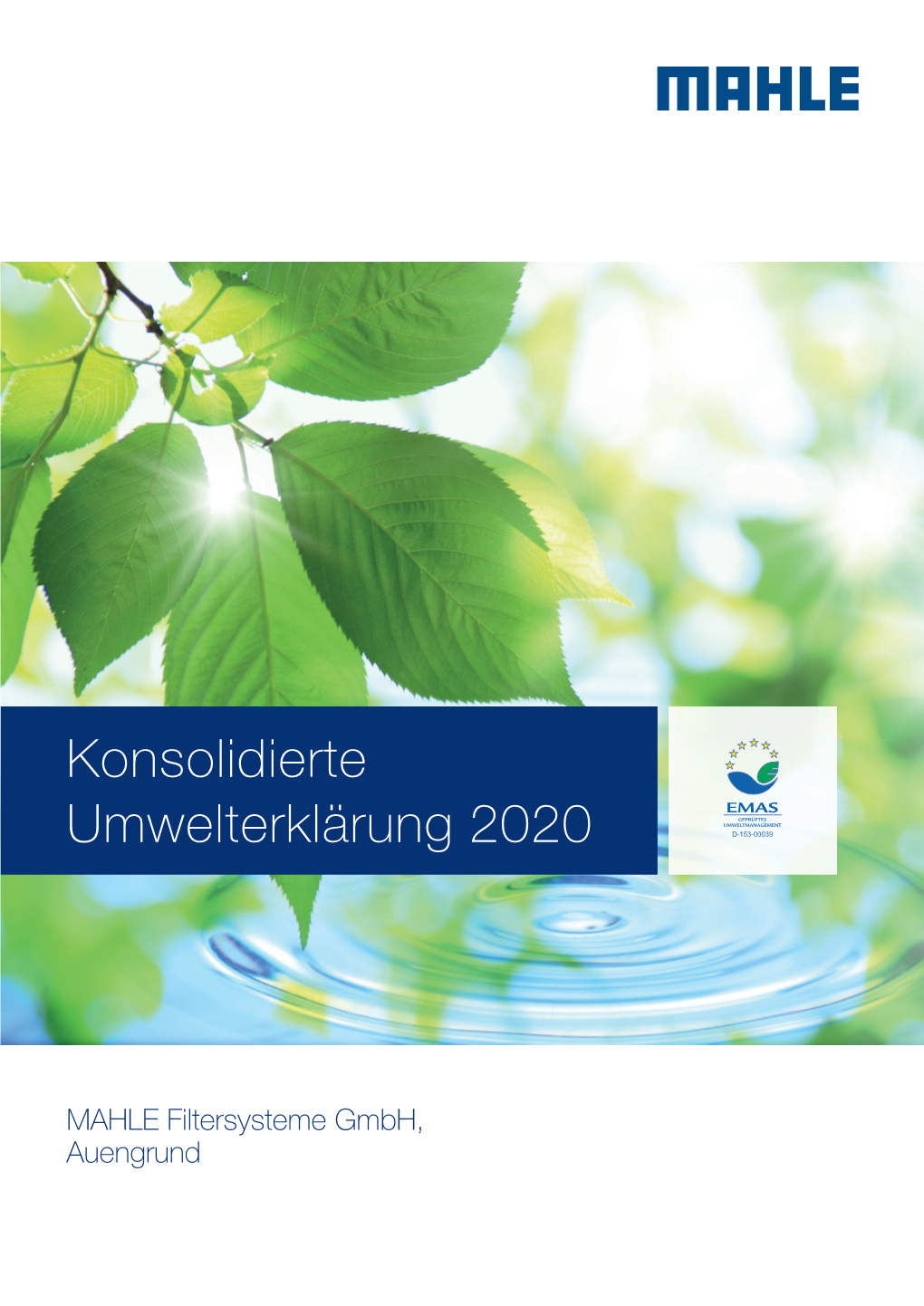 Konsolidierte Umwelt Erklärung 2020