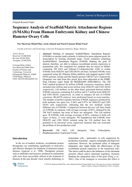 Sequence Analysis of Scaffold/Matrix Attachment Regions (S/Mars) from Human Embryonic Kidney and Chinese Hamster Ovary Cells