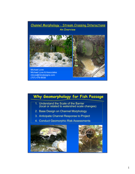 Why Geomorphology for Fish Passage