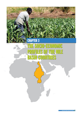 The Socio-Economic Profiles of the Nile Basin Countries