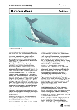 Fact-Sheet-Humpback-Whales.Pdf