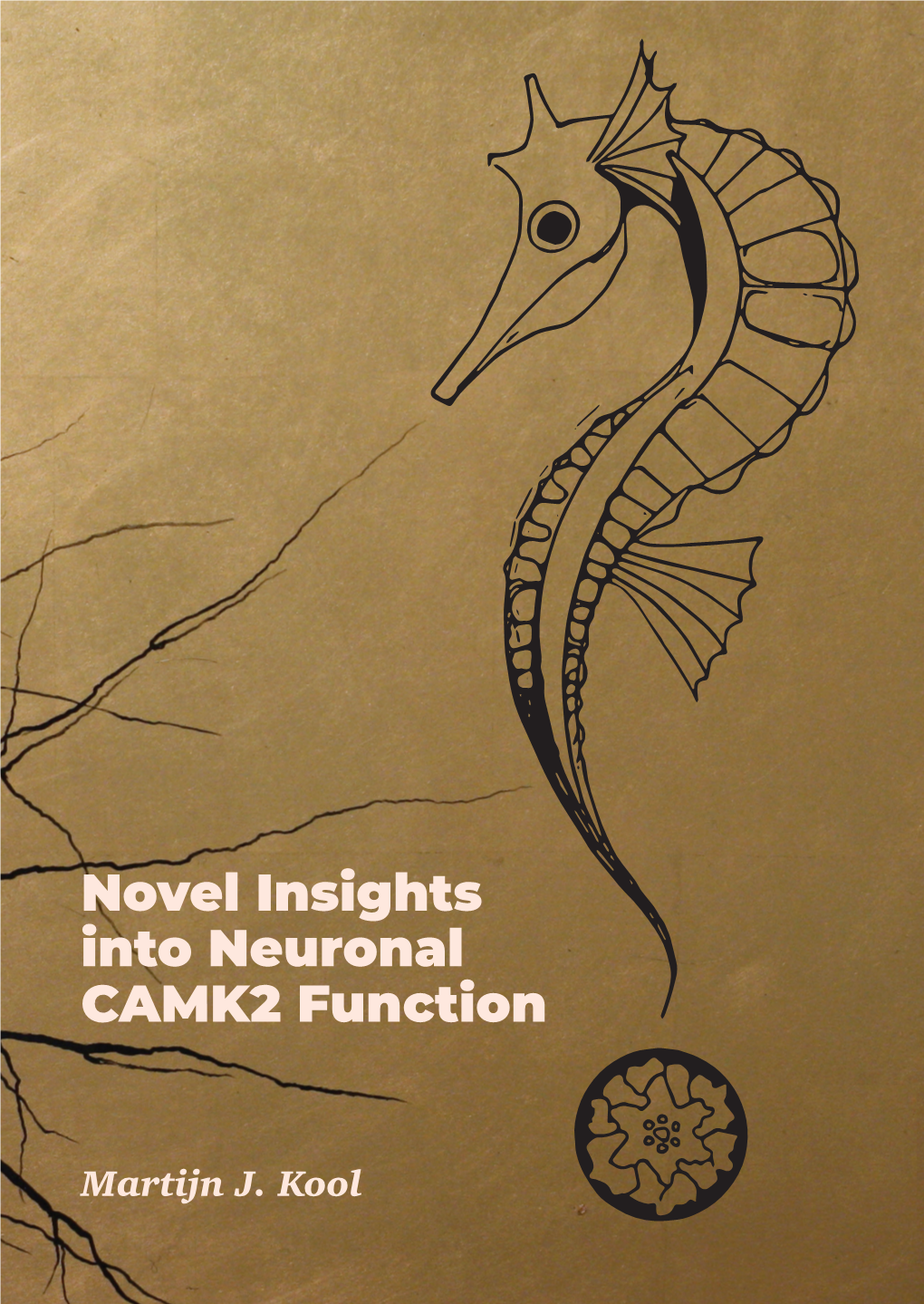 Novel Insights Into Neuronal CAMK2 Function