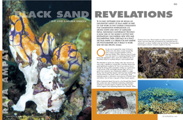 Black Sand Revelations