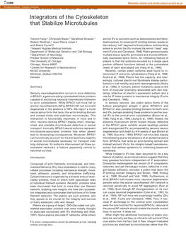 Integrators of the Cytoskeleton That Stabilize Microtubules